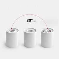Boîtier de lampe de cadre de projecteur réglable de Downlight de LED cylindrique monté en surface GU10 pour accessoire de salon