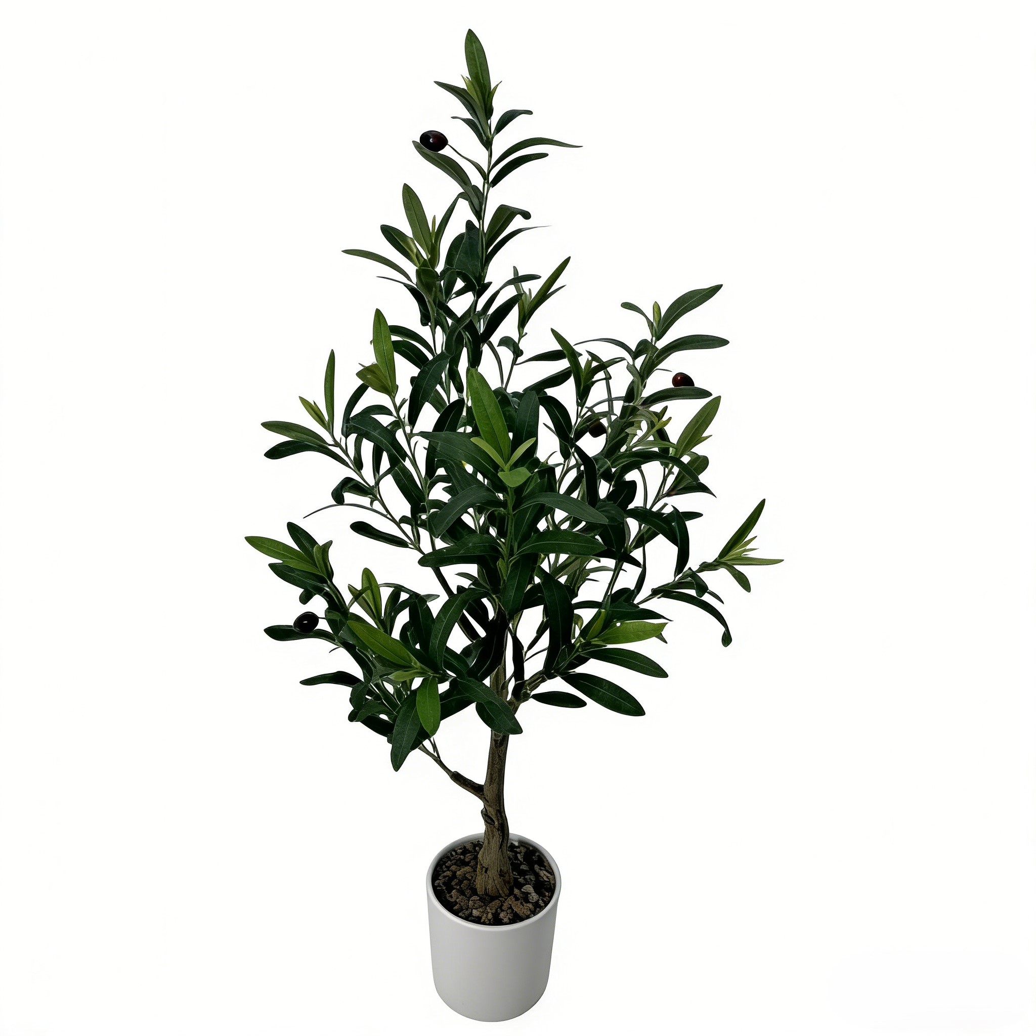 สีเขียว