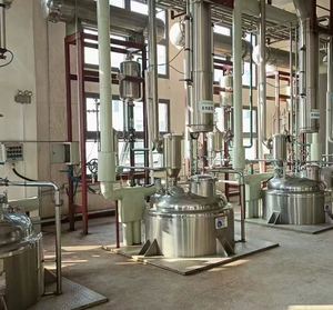 مسحوق خلاصة إمداد نجمة إنيس - Product Image 5