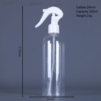 Personnalisation en gros 150ml 200ml 250ml 300ml BELONG Flacon pulvérisateur de chambre en plastique PET transparent avec mini pulvérisateur à gâchette
