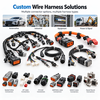 Harnais de câblage OEM personnalisé, pas de 2,0 mm et 2,54 mm, connecteur 22-28 AWG à 2-12 broches, assemblage de câbles pour câblage électrique
