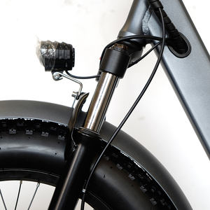 Livraison <span class=keywords><strong>drift</strong></span> tricycle <span class=keywords><strong>1500w</strong></span> e tricycle vélo pour adulte - Product Image 6