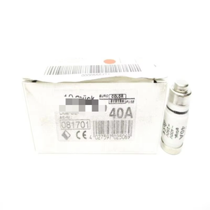 D02-SEE18 081701 40A 400V/250V NSMP nouveau Original prêt Stock automatisation industrielle PAC contrôleur de programmation PLC dédié - Product Image 1