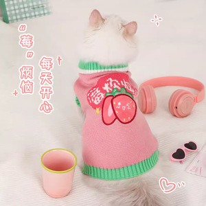 Pull d'hiver pour chat, vêtements chauds rose baie pour chatons et chats Ragdoll, vêtements de loisirs pour animaux de compagnie - Product Image 1