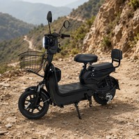 Bicicleta Eléctrica Urbana de 48V 500W para Adultos, Bicicleta de 14 Pulgadas con Doble Suspensión, Batería de Plomo-Ácido, 3 Velocidades