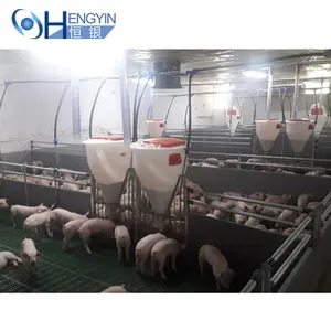 من المصنع ويمكن تصميم صناديق فصام الخنازير حسب الطلب لتجنين الخنازير و تربية المولود