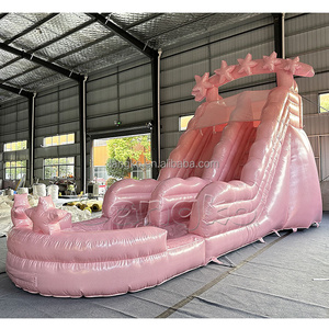 Jardin gonflable de glissière d'eau de toboggan rose pastel avec le ventilateur - Product Image 4