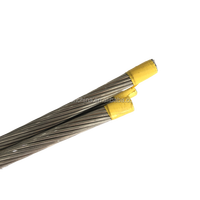 50mm 70mm 100mm 150mm XLPE/PVC Stromkabel Vollaluminium-Litzenkabel AAC Freileitungskabel
