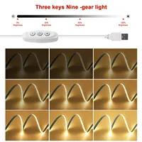 Bande LED COB 8mm PCB 320 LED/M DC5V + Kit Variateur USB 3 Touches – Ruban LED Haute Densité pour Armoire, Téléviseur, Rétroéclairage de Miroir, Éclairage de Chambre