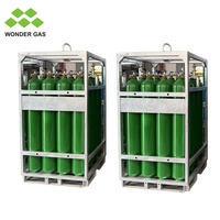 Support de stockage pour bouteilles d'hydrogène, support pour 16 bouteilles de gaz, support pour bouteilles d'azote, lot