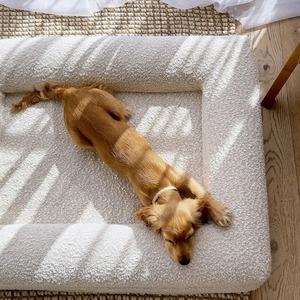 Colchoneta Rectangular de Terciopelo Paiyao, Colchón Ortopédico Extraíble con Reposabrazos de Cuatro Lados, Sofá para Mascotas, para Dormir en Todas las Estaciones - Product Image 3