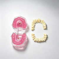 Modelo Dental SCIEDU con Dientes Extraíbles, Encías Suaves, Modelo de Boca Completa con Dientes Extractables para Prácticas de Odontología, Venta al Por Mayor OEM