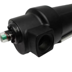 Filtro de Micro-aceite Original para Torre de Secado F46-801-A0DA, Filtro de Aire - Product Image 5