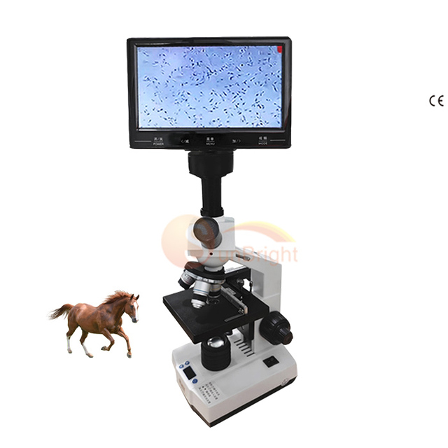 7 Inch Microscope Heating Function Microscope with Cheapest Price