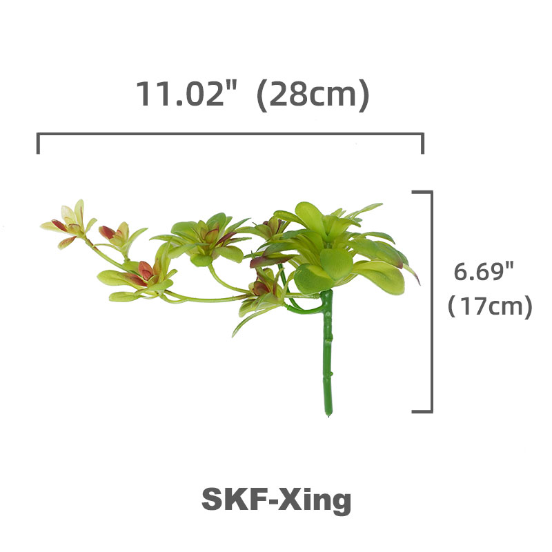 SKF-Xing