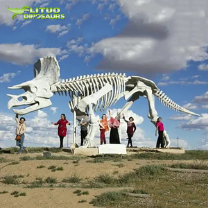 Khủng long công viên cuộc sống Kích thước Triceratops Mô Hình Bộ Xương - Product Image 4