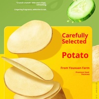 Groothandel 70G Hete Loempia Chips Verschillende Gearomatiseerde Gepofte Voedingsmiddelen Halfzachte Textuur Legt Merk Exotische Fruitgroentesnacks