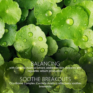 Pads de <span class=keywords><strong>Soin</strong></span> Visage au Thé Vert à Marque Blanche à la Centella pour le Traitement de l'Acné et l'Élimination des Imperfections - Masque Visage - Product Image 2