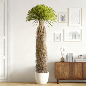 Arbre artificiel en dracaena vert en gros, plante en plastique, décoration d'intérieur, arbre en dracaena en plastique de haute qualité - Product Image 5