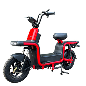 Motor Paige para Bicicleta Eléctrica de Largo Alcance, 800 Vatios, 2 Plazas, Motocicleta Todoterreno - Product Image 2