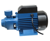 Pompe à eau surpresseur QB60/70/80, puissance 0,37/0,55/0,75 KW pour le traitement de l'eau potable, personnalisable OEM