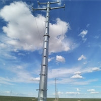 Poteau utilitaire en acier galvanisé à chaud JUNHAO, norme TIA-222 pour ligne de transmission d'énergie américaine, durée de vie de 30 ans