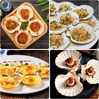 10 pièces grandes coquilles Saint-Jacques naturelles 4 ''-5'' grande coquille pour l'artisanat grands coquillages blancs en vrac pour les fêtes à thème océanique