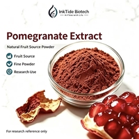 Natuurlijk voedingsmiddelkwaliteit wild granaatappel fruitpoeder, oplosmiddelextractie, trommel- en vacuüm verpakt