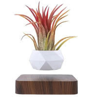 Maceta de aire de levitación geométrica blanca moderna con maceta flotante magnética Base de madera oscura hecha de plástico