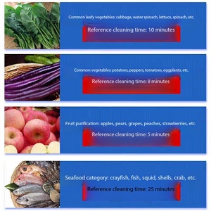 Lavadora Comercial de Frutas y Verduras con Tecnología Vortex, Desinfección con Ozono, Acero Inoxidable 304SS, para Restaurantes y Marisquerías - Product Image 4