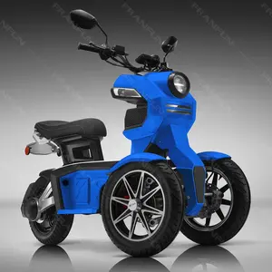 DOT 2 pil üç tekerlekli elektrikli motosiklet EEC 70 KM/H 3000W dualtron sürüklenen scooter