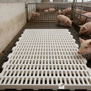 Panneau de sol en <span class=keywords><strong>plastique</strong></span> <span class=keywords><strong>rigide</strong></span> standard pour porcherie, idéal pour l'élevage d'animaux, avec grille de drainage, pour extérieur - Product Image 1