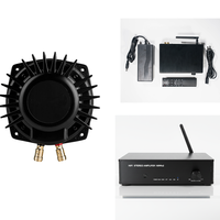 Samtronic Digitaler Verstärker und Vibrationslautsprecher-Set Niederfrequenz-Bass-Shaker Resonanz-Wandler für Massagesessel Sofa