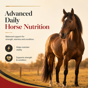 Suplemento Líquido para Células Rojas Equinas OEM, 1 Galón - Refuerzo de Hierro, Vitaminas y Minerales para la Resistencia y Defensa Inmunológica del Caballo - Product Image 5
