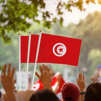 Support de drapeau national portable en polyester imprimé numériquement, 5,51*8,27 pouces, fabriqué en Chine, pour la Tunisie