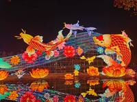 2025 lanterne en soie de festival en plein air pour le nouvel an chinois animal koi poisson lanternes chinoises décoratives