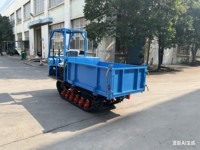 CE Neuer Icles 1T Aufsitz-Raupendumper mit EPA Euro V Motor, geländegängiger Raupentransporter, Mini-LKW
