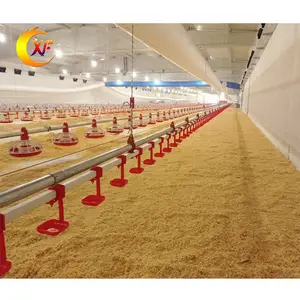 Sistema di alimentazione automatica del pollo linea di alimentazione del pavimento del pollaio dell'allevamento di pollame