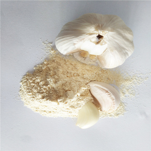 Polvo <span class=keywords><strong>de</strong></span> ajo seco <span class=keywords><strong>de</strong></span> alta calidad 100% polvo <span class=keywords><strong>de</strong></span> ajo puro 120 malla - Product Image 2