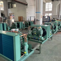 Unité de condensation refroidie par air de type H avec deux ventilateurs et compresseur Bitzer semi-hermétique