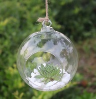 Jardinière murale, terrariums en verre transparent suspendus pour plantes aériennes, succulentes et bougies, terrarium suspendu