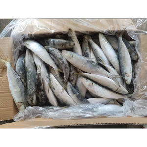 Maquereau de cheval congelé entier à gros yeux, maquereau de cheval congelé à queue jaune, poisson - Product Image 3