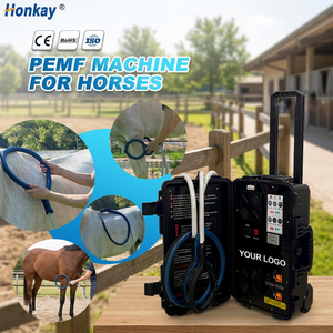 Machine PEMF à double contrôle pour l'équitation, formation gratuite, prévention des blessures sportives, dispositif à impulsions magnétiques PEMF pour centre équestre - Product Image 1