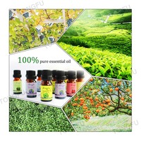 Huile essentielle 100% pure de marque privée beurre de karité huile de massage blanchissante pour le corps pour les soins de la peau