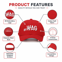 Gorra de Béisbol de Sarga Roja de Lujo con Logotipo Personalizado, 6 Paneles, Algodón, Letras Bordadas, Perfil Bajo, Unisex, Ajustable, Hebilla Plateada de Cobre