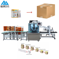 Machine d'emballage de cartons entièrement automatique Peakwind |   Ensacheuse automatique personnalisable pour bière, boissons, lait et biscuits