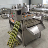Industriële suikerrietwasmachine van roestvrij staal, suikerrietreinigings- en schilmachine, industriële fruitreinigingsmachine