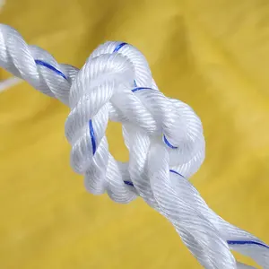 Factory Price Nylon Rope / Pe Twist Rope / Plastic Rope For Philippines Market