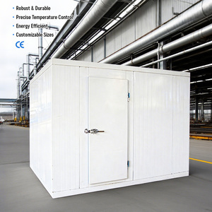 <span class=keywords><strong>Chambre</strong></span> <span class=keywords><strong>froide</strong></span> de maturation du fromage (cave), contrôle personnalisable de la température et de l'humidité, pour les fromagers artisanaux - Product Image 2