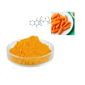 Carrot Bulk Price Good Taste Purity Carrot Juice Powder Carrot Powder Carrot Fruit Powder